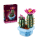 LEGO BOTANICALS 11509 Kwitnący kaktus - 1473413 - zdjęcie 2